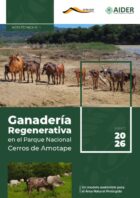 nota tecnica